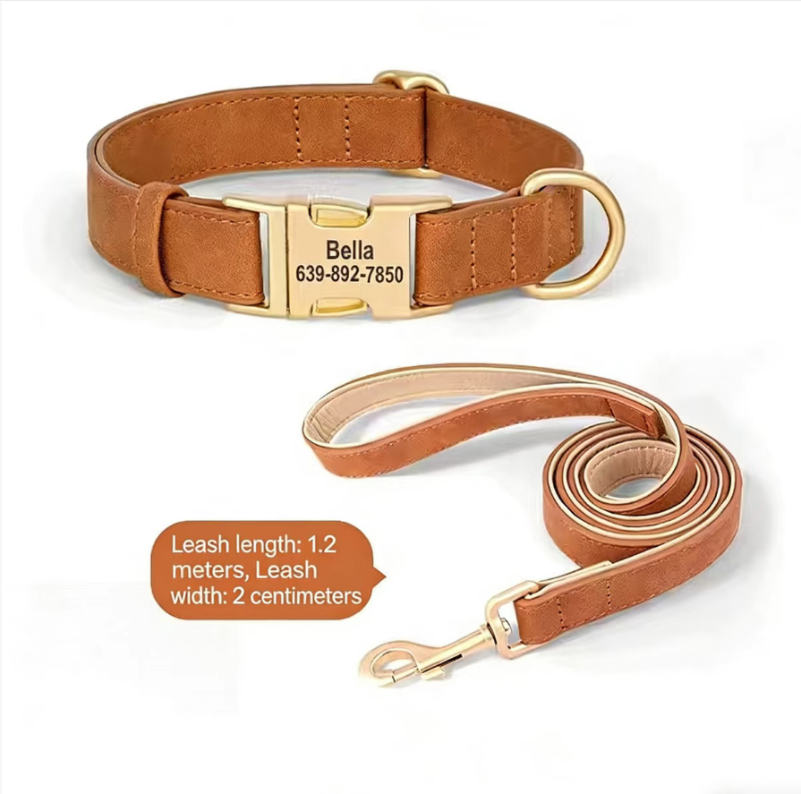 Dog Collar Lettering Teddy Bears Dog Collar Small Dog Going Out Neck Ring corgi Pet Neck Ring Dog Neck Ring