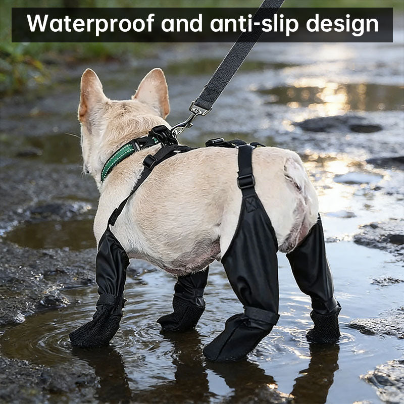 Anti-Fall Suspender Dog Boots: Waterproof & Anti-Slip Paw Protectors for Secure Fit on Outdoor Adventures