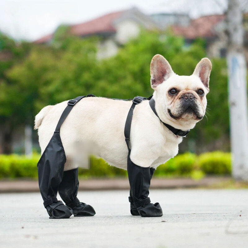 Anti-Fall Suspender Dog Boots: Waterproof & Anti-Slip Paw Protectors for Secure Fit on Outdoor Adventures
